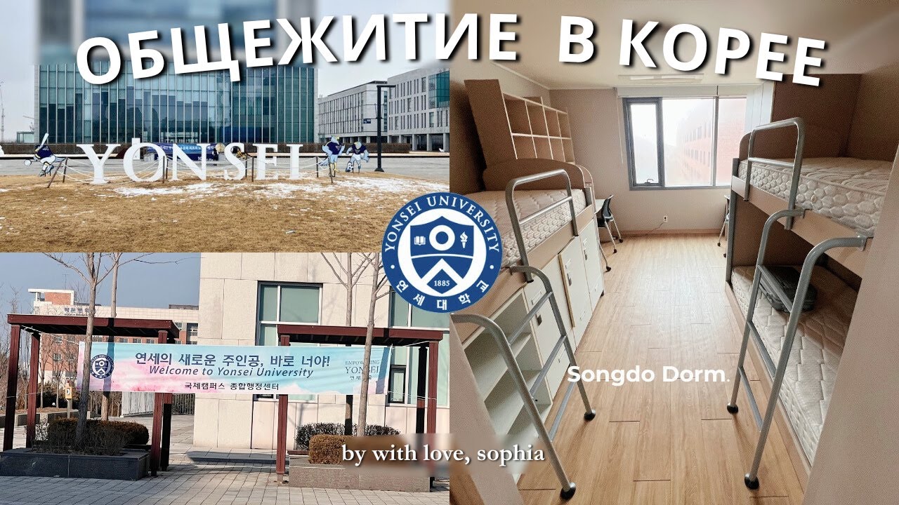 Общежитие в Корее / Yonsei University, заселение, шоппинг и orientation day