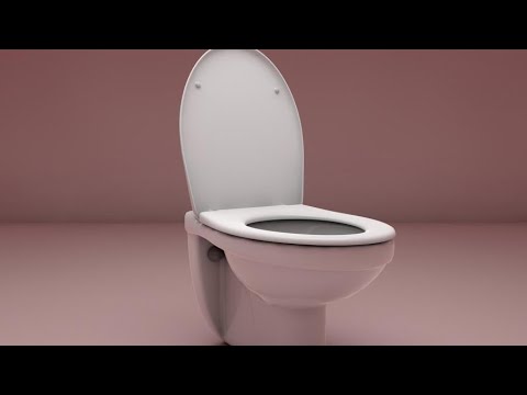 путешествие в туалете - YouTube