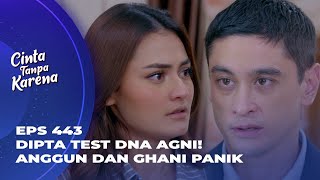 TERBONGKAR! DIPTA MAU GHANI & ANGGUN TANGGUNG JAWAB? - CINTA TANPA KARENA EPS 443