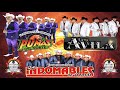 Corridos De Jaripeo Los Pumas Del Norte, Los Avila, Los Indomables De Cedral