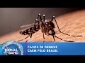 Dengue: quase todos os estados brasileiros têm tendência de queda | Jornal da Band