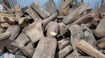 Chọn gỗ ngọc am trang trị nhà - 0985.668.070