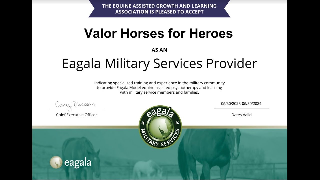 Slideshow for Summer Valor Horses For Heroes Specialized Trauma Therapy
