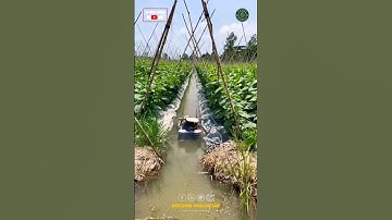 Agriculture ROBOT IRRIGATION SYSTEM 🤩 | Floating Boat Robot Pump😇
