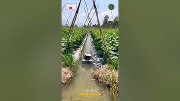 Agriculture ROBOT IRRIGATION SYSTEM 🤩 | Floating Boat Robot Pump😇