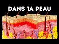 Un Voyage à Travers Ta Peau