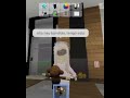 YO SI ME ROBAN🤑🗣️🔥🔥#roblox#brookhaven#humor#shorts