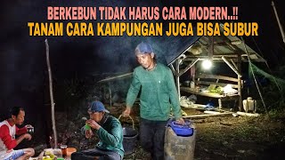 Download Lagu BERKEBUN TIDAK HARUS CARA MODERN..!! TANAM CARA KAMPUNGAN JUGA BISA SUBUR MP3 Download Lagu BERKEBUN TIDAK HARUS CARA MODERN..!! TANAM CARA KAMPUNGAN JUGA BISA SUBUR MP3