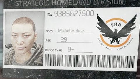 The Division (Video Game) | Missing Agents #17 | Michelle Beck | Midtown East