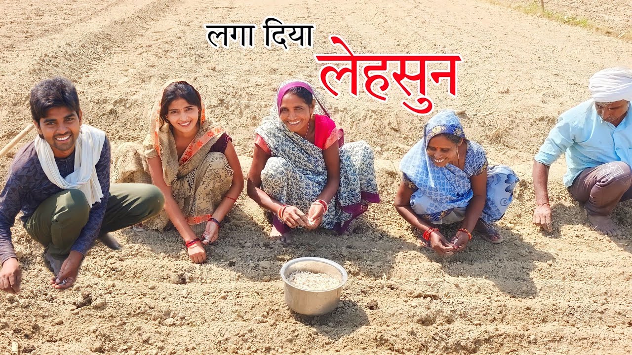लगा दिया लहसुन the farmers 