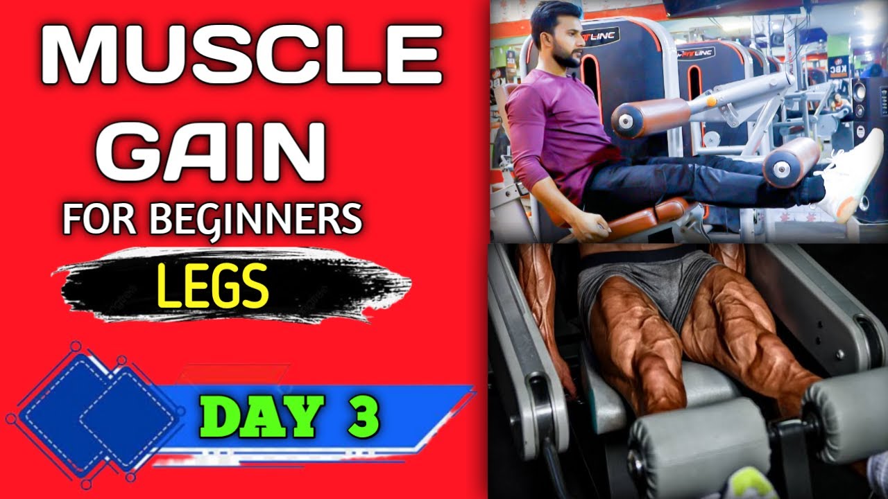 muscle-gain-workout-plan-day-03-legs-workout-fitness-prem-92
