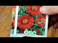 Mexican Sunflower Profile April 26 2020 