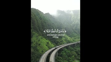 طمأنينة🌿 الآية 216 من سورة البقرة🌿