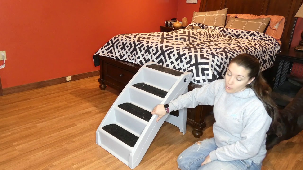 PetSafe CozyUp Folding Pet Stairs Review YouTube