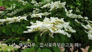 남산순환길 2021042802