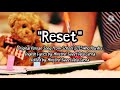 English Translation Reset OCMV 