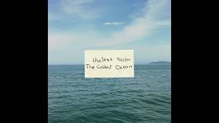 Useless Youth - The Coldest Ocean - Subtitulada al español