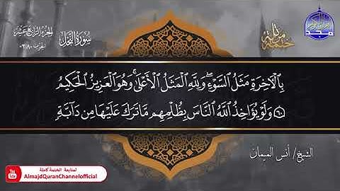 جديد ✅ ختمة مرتلة كاملة 🌫️ سورة   النحل   🌫️ الشيخ   أنس الميمان