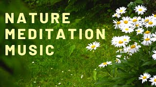 Full Moon Nature Meditation Music screenshot 5