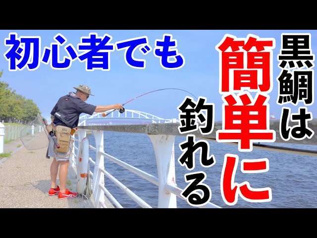 ヘチ釣り】新しいヘチ竿！舞洲で黒鯛は釣れるのか？ - YouTube