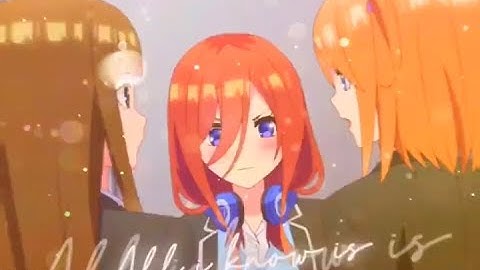 I Dont Know Miku Anymore ( Shoko Rm ) || Free Preset Alight Motion 4.0.2