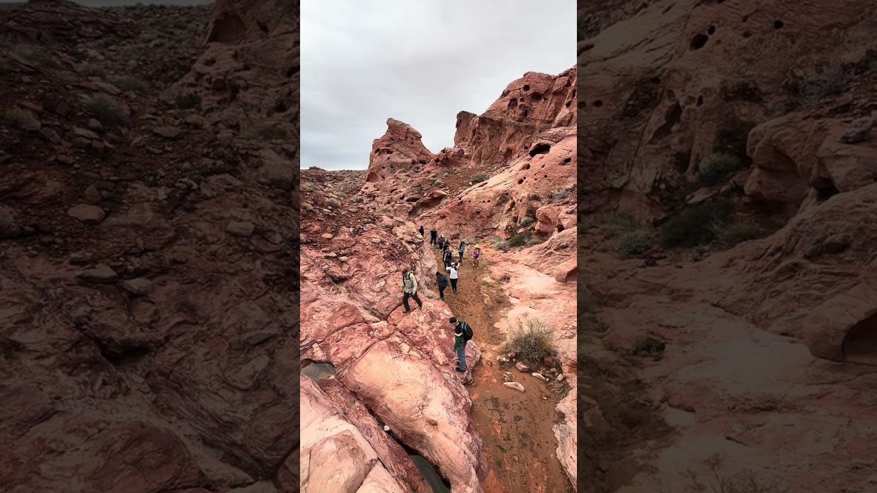 Живописная чаша огня 