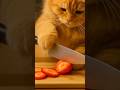 “ASMR  it purr-fect.” 🎧🐾Fluff, fruit, and fine cutting. #asmrcat #catsoftiktok #chefcatlife