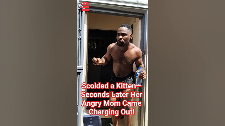 Watch the video about FUNNY CAT VIDEOS ON YOUTUBE #FUNNY #SHORTS #COMEDY #FUNNYANIMAL #CATLOVERS #VIRAL #TRENDING