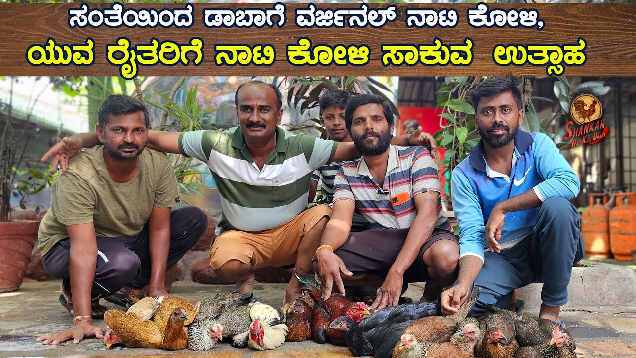 ಒರಿಜಿನಲ್ ನಾಟಿಕೋಳಿ ಸಾಕಿ ತಿಂದು ಆರೋಗ್ಯ ಕಾಪಾಡಿ Keep yourself healthy by rearing eating original natikoli