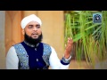 Hamd e Bari Tala By Syed Naveed Qadri Turabi 2017