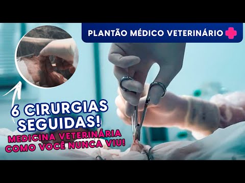 Vídeo: Objeccions Sèniors Per A Mascotes En Medicina Veterinària