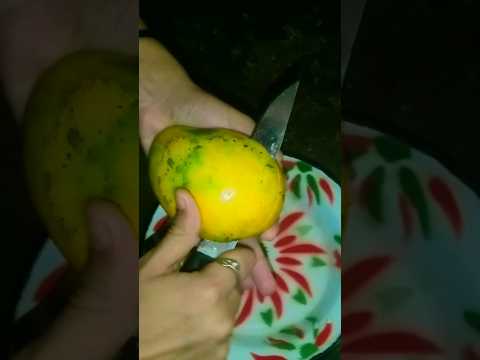 Mango 🥭 shek #minivlog #vlog #shortvideo