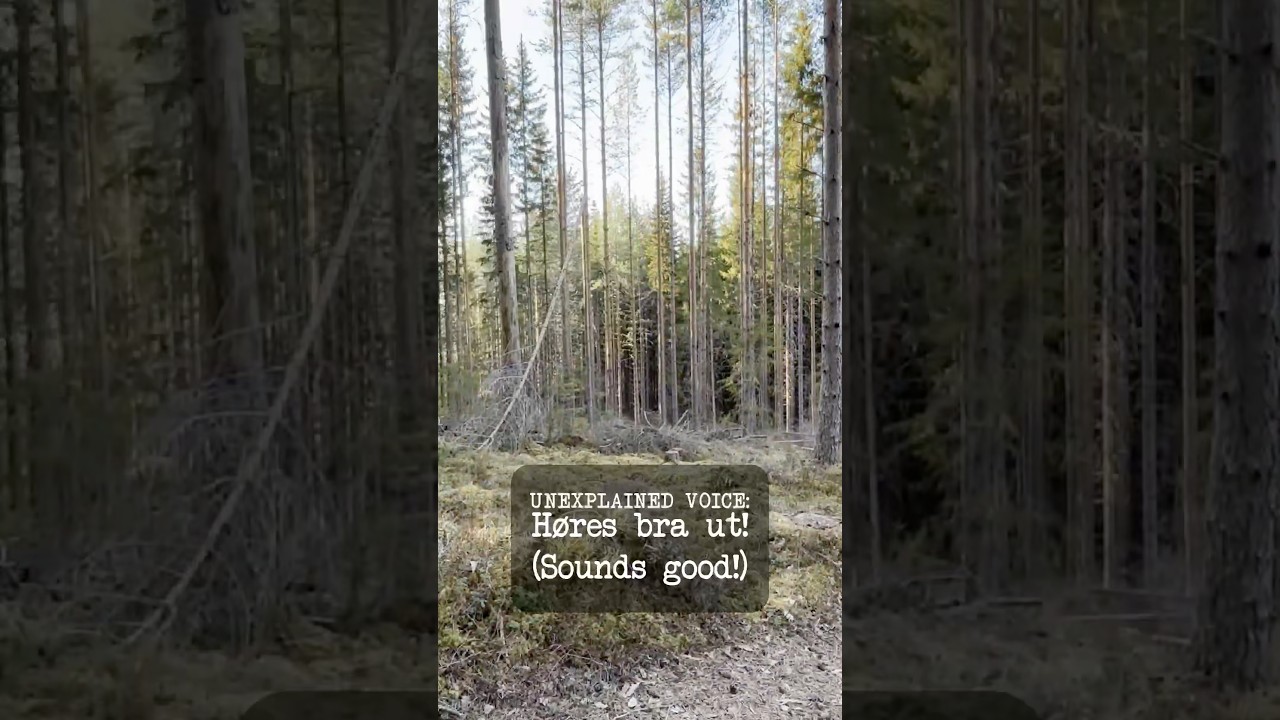 An unexplained voice greeted us almost immediately in the 