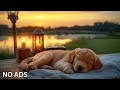 12 Hours of Dog Calming Music for Anxiety 💖 Anti Separation Anxiety Relief Music 🐶🎵 dog music