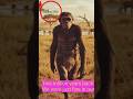 From Apes to Icons: The Evolution of Human Style #humanevolution #historyofhumans #viral #shorts