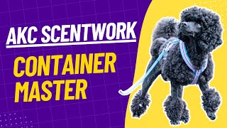 AKC Scentwork Container Master 1st place