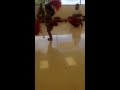 2 Year Old Polynesian Dancer Practicing Her Solo