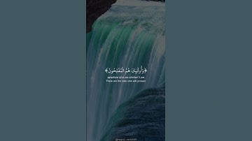 سورة النور (الآية ٥١ - ٥٢) القارئ سلمان العتيبي