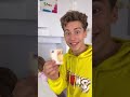 Reto imposible para desafiar a tus amigos /MIKA SOFI #shorts