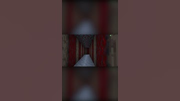 New Nether Tunnel Short