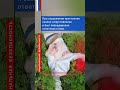 ⚡ ПРЕДОТВРАЩЁН ТЕРРАКТ ¦ ТЕРРОРИСТ ЛИКВИДИРОВАН