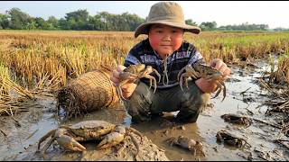 Checking Bamboo Fish Traps in Flooded Fields – Crab and Snails Cooking