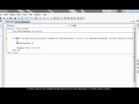 VB : Variable : Tutorial 2