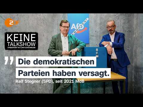 AfD-Verbot: Hilfreich oder hilflos? Ralph Stegner eingesperrt mit Jan Fleischhauer | Keine Talkshow