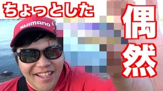 夕方にバイブレーション巻いたら幸せになった