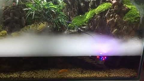 Đèn led tạo khói