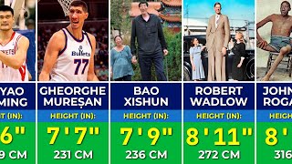 🧑 Tallest Man in the World | Comparison of the Tallest People in History