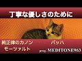 82 丁寧な優しさのために For polite kindness