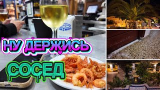 видео: ИСПАНИЯ ВЛОГ. ТОЛЬКО БЫ НЕ ОТРАВИТЬ СОСЕДА И ЕГО СОБАКУ😂😂😄 картинка: ИСПАНИЯ ВЛОГ. ТОЛЬКО БЫ НЕ ОТРАВИТЬ СОСЕДА И ЕГО СОБАКУ😂😂😄