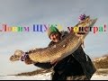 Fishing ловим ЩУКУ монстра! Якутия Yakutia